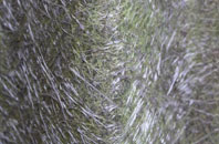 Carstairs fibreglass roof work